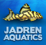 Jadren Aquatics